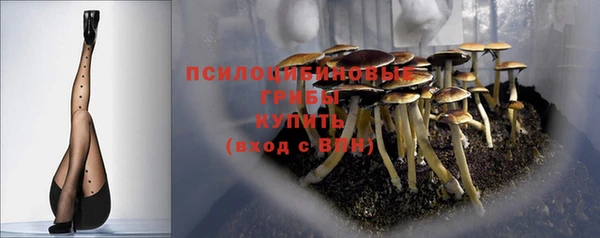 спиды Слюдянка