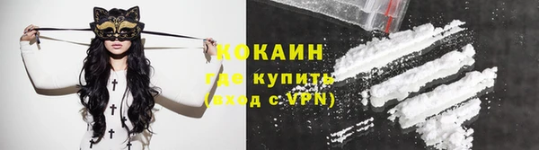 PSILOCYBIN Армянск