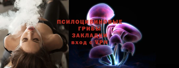 PSILOCYBIN Армянск