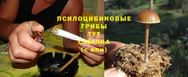 PSILOCYBIN Армянск